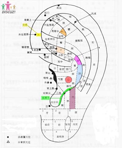 圖片 12.jpg