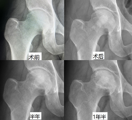 圖片-8.jpg