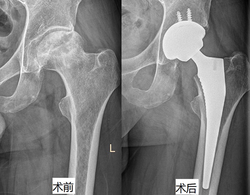 圖片-9.jpg
